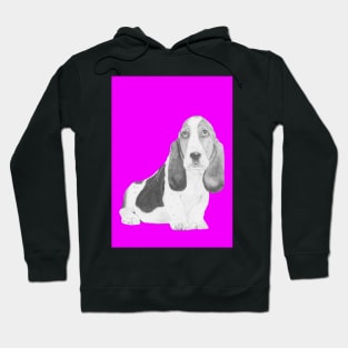 Basset Hound Puppy in Pink Hoodie